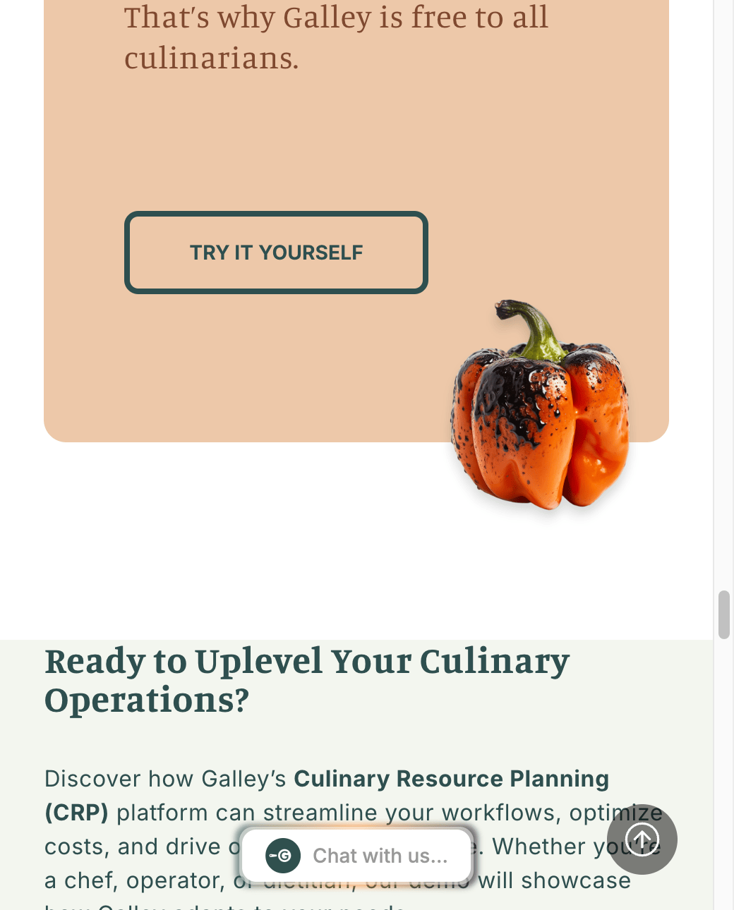 Galley brand block on the homepage, "Ovens and fryers will burn you, software vendors shouldn't. That's why Galley is free to all culinarians," alongside a roasted pepper photograph.
