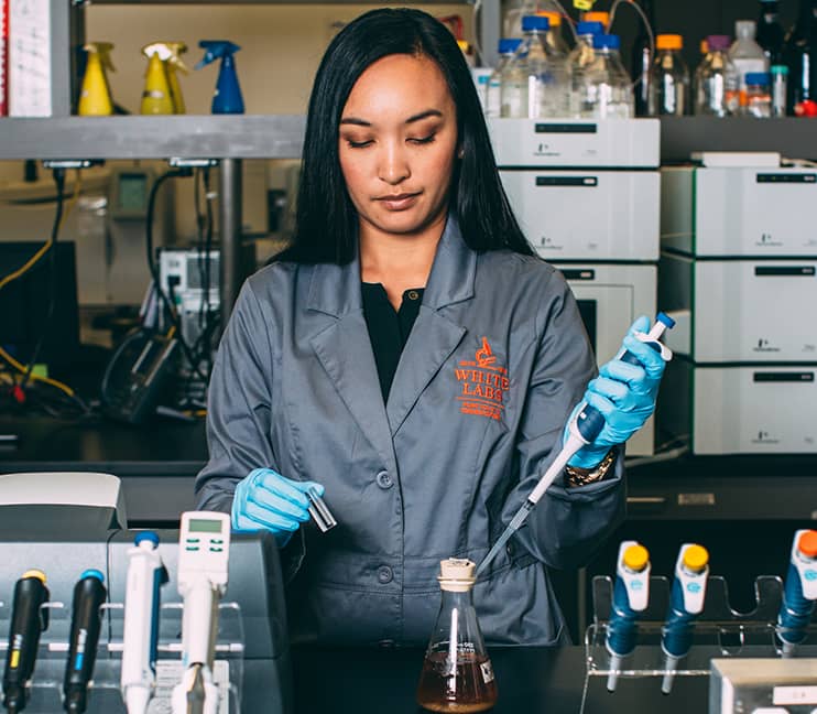 A White Labs scientist in a branded grey lab coat uses a precision pipette to work with fermentation samples in an Erlenmeyer flask, surrounded by lab equipment and reagents — representing the scientific rigour behind the White Labs product range.